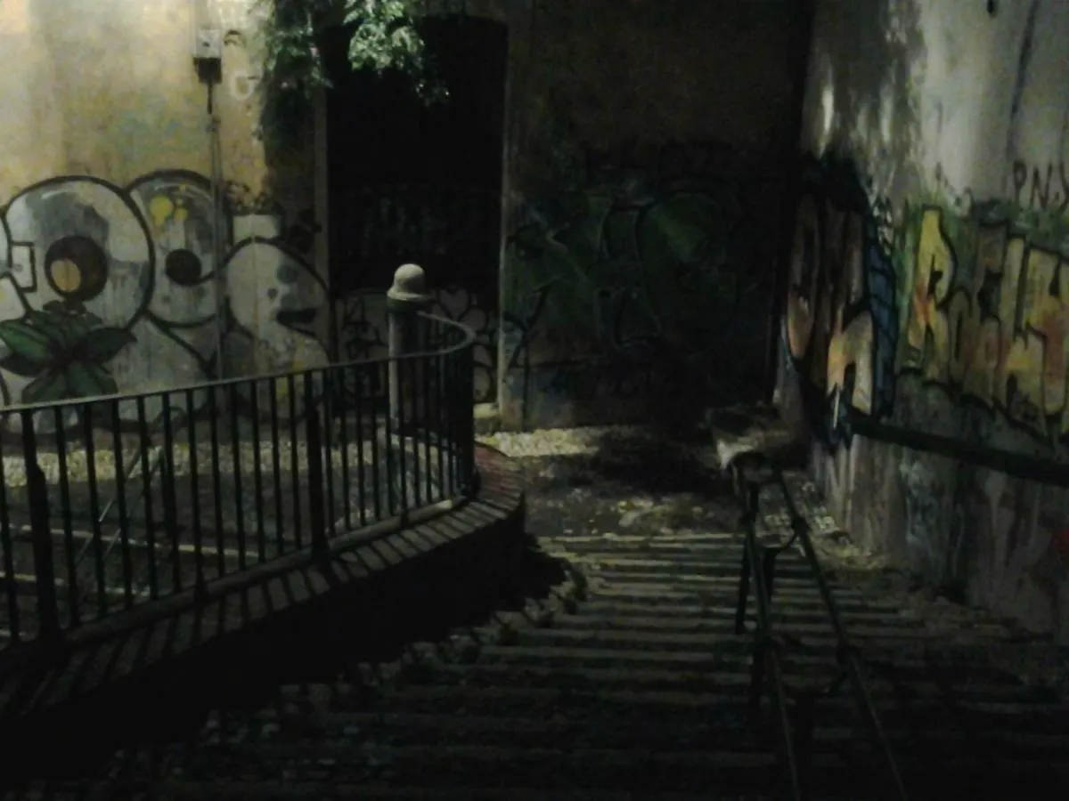 The Country In The Town Daire Lisboa
