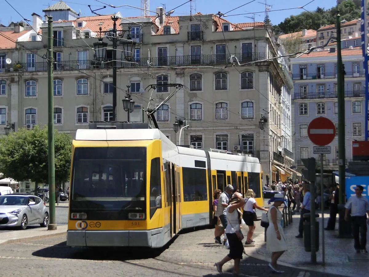 The Country In The Town Daire Lisboa