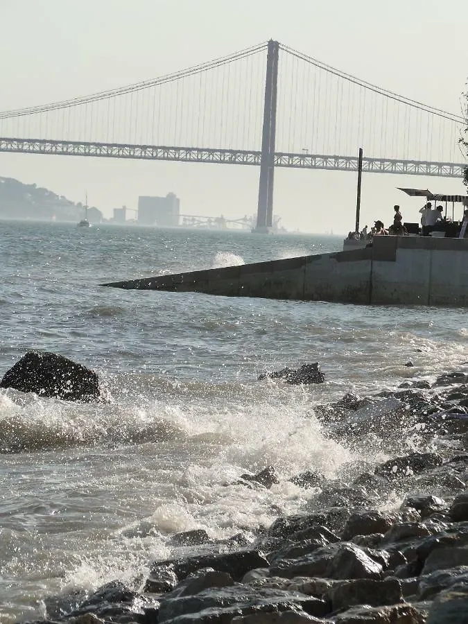 The Country In The Town Daire Lisboa
